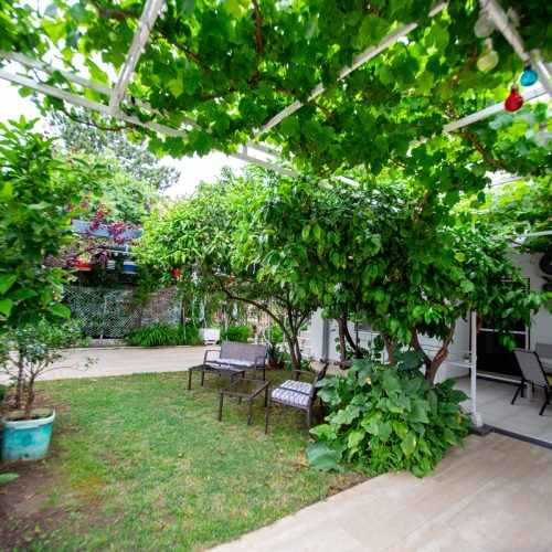 Mia-patria_garden_04